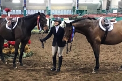 Holly King winning Champion and Reserve Champion with her two horses, Manhattan and Cammarata