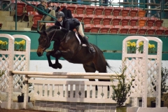 Holly King showing Cammarato