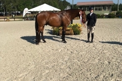 Holly King and Manhattan winning the Reserve Championship in 3'3" Amateurs at the Five Points Horse Show