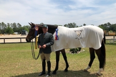 Stiletto and Mike Rosser are awarded  Champion in the  3' Green AND the 3' Green Champion for the circuit at the Five Points Horse Show