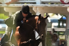Manhattan, ridden by Mike Rosser and owned by Holly King