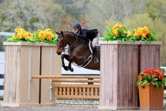 Innsbrook , ridden by Layne Woodward and jumping great!